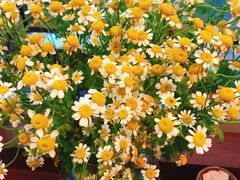 -肥朵食堂(带梦胡同店)