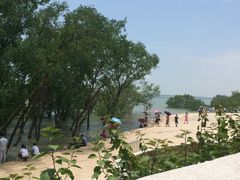 -宝安西湾红树林湿地公园