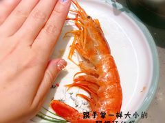 -乔哥铭洋海鲜自助(皇城恒隆广场店)