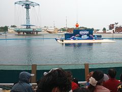 -秦皇岛乐岛海洋王国