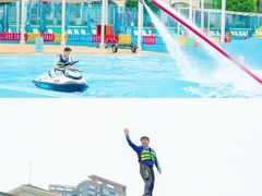 -海合安成都极地海洋公园