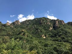 -大岭沟猕猴桃谷风景区