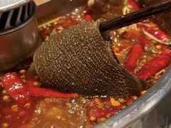 -巴奴毛肚火锅(大剧院店)