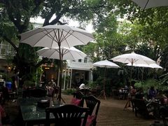 -Fern Forest Cafe