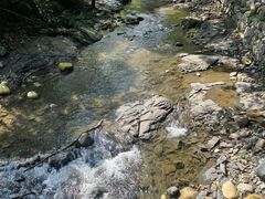 -石台牯牛降景区