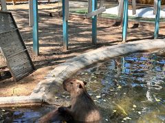 -南戴河国际娱乐中心