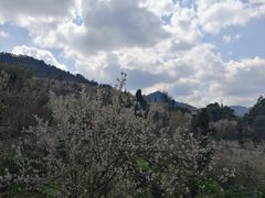 -樱桃山旅游景区