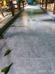 -酷嗒动物文化乐园(cutezoo西溪乐天城店)