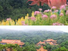 -东莞观音山旅游风景区