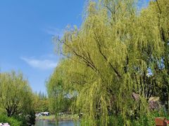 -上海滨江森林公园