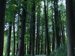 -同里国家湿地公园