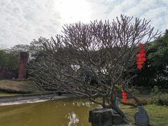 -广州雕塑公园