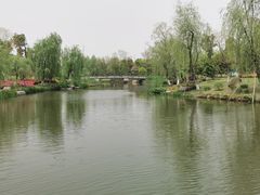 -九科绿洲