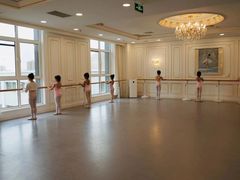 -芭蕾仙子 FairyBallet 少儿芭蕾舞蹈中心(丽都旗舰店)