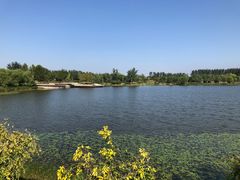 -东郊湿地公园