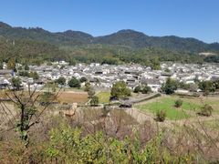 -塔川景区