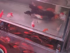 -双季花艺园艺市场(浦东店)