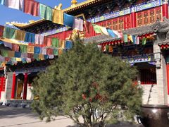 -西安市广仁寺