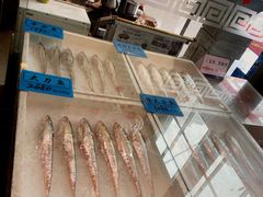 -莆鑫海鲜城(浏河店)