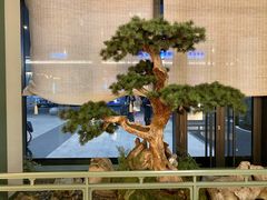 景观位-潮上潮(南中环店)