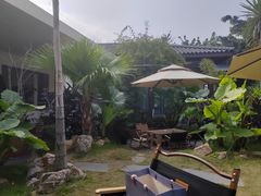 -满天星花园