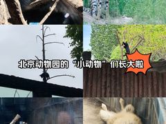 -北京动物园