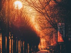 -野鸭湖国家湿地公园