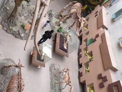 -陕西自然博物馆