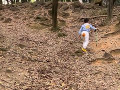 -火炉山森林公园