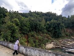 -海南霸王岭国家森林公园