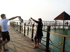 -瑶湖郊野森林公园