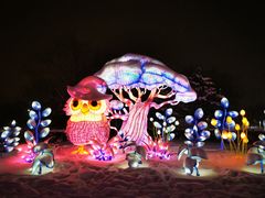 -沈阳奥体冰雪嘉年华
