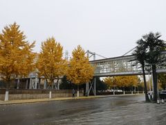 -南宫温泉水世界