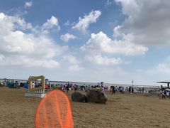 -碧海金沙
