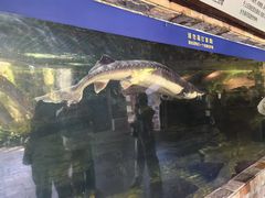 -上海动物园(地铁站)