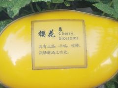 -张家港金凤凰度假村温泉