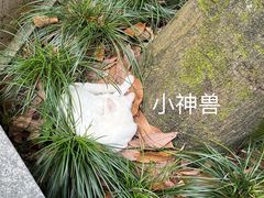 -杭州上天竺法喜讲寺