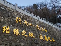 -秦岭风景区
