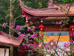 -都江堰普照寺