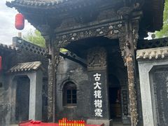 -大槐树寻根祭祖园