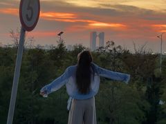 -南汇嘴观海公园