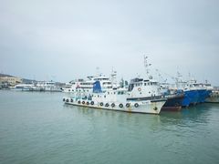 -蓬莱仙岛