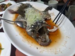 -船歌·鱼水饺青岛菜(闽江二路店)
