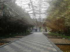 -森波拉火山温泉