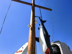 -中华人民共和国水准零点