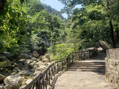 -沂蒙山旅游区云蒙景区(蒙山国家森林公园)