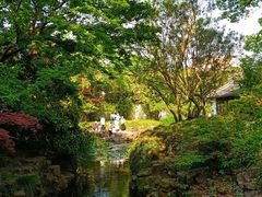 -上海醉白池公园