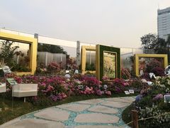 -莲花山公园