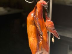 -四季民福烤鸭店(前门廊房二条店)