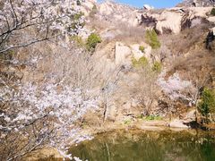 -北京凤凰岭